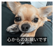 823727149