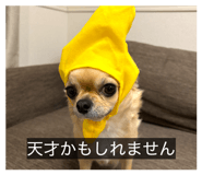 823727160