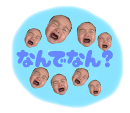 823732017
