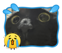 823734219