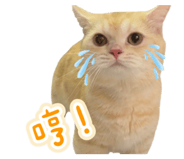 823777189