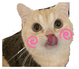 823777212