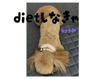 823777910