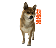 823790712