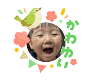 823794010