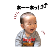 823808779