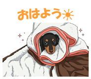 823811105
