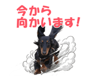 823811107