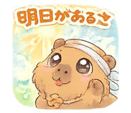 823815752