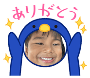 823827811