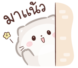 ลายที่ 1