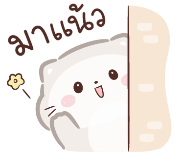 ลายที่ 1
