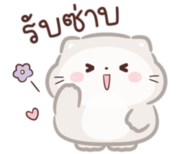 ลายที่ 7