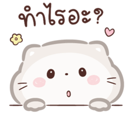 ลายที่ 11