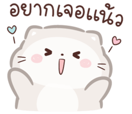 ลายที่ 17