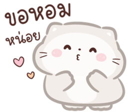 ลายที่ 23