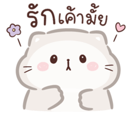 ลายที่ 25