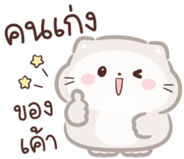 ลายที่ 31