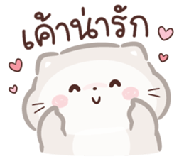 ลายที่ 33