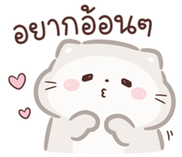 ลายที่ 37