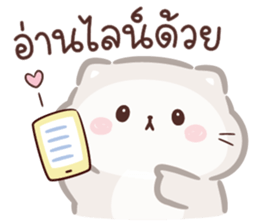 ลายที่ 41