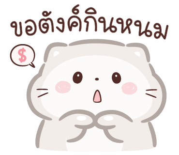 ลายที่ 29