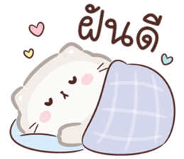 ลายที่ 79