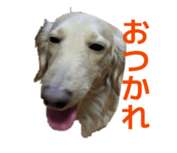 823828885