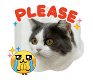 823831604
