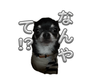 823874642