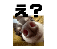 823874645