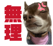 823874649