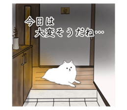 823903505
