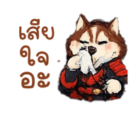823954900
