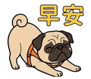 823957875