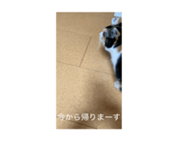 823997480