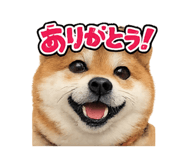 824058931