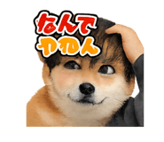 824058932