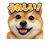 824058936