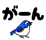 824090805