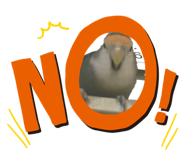824094074