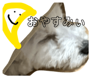 824098250