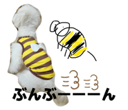 824098264