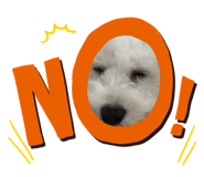 824098277