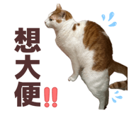 824101913