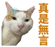 824101917