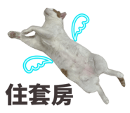 824101925