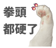 824101930