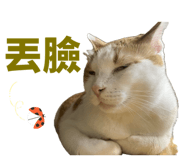 824101931