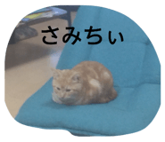 824112419